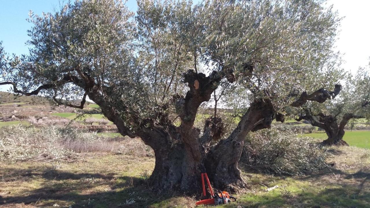 Casa Rural 643Km ビリャトゥエルタ エクステリア 写真